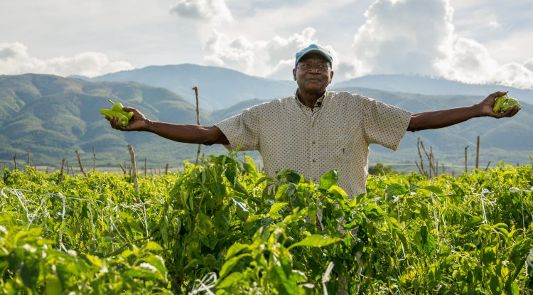 agricultor