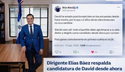 Elías Báez plantea que el PRM debe valorar el posicionamiento…