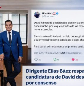 Elías Báez plantea que el PRM debe valorar el posicionamiento de David Collado de cara a 2028